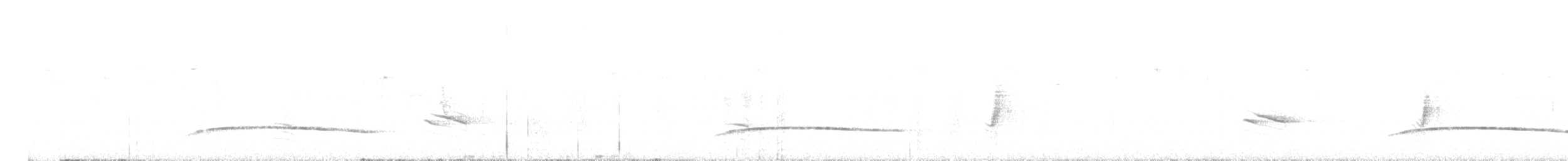 blåvingelattertrost - ML634930805