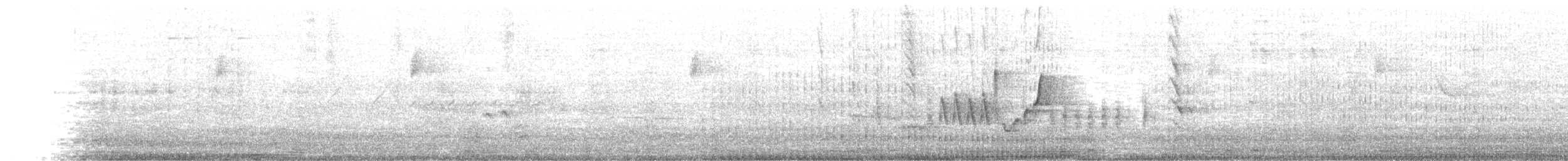 Southern House Wren - ML634937610