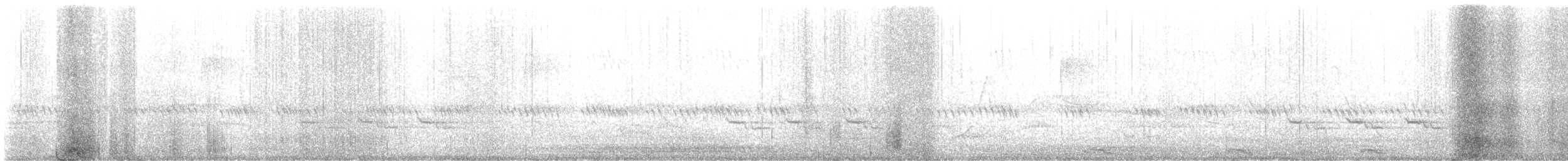 Colin de Virginie - ML634938524