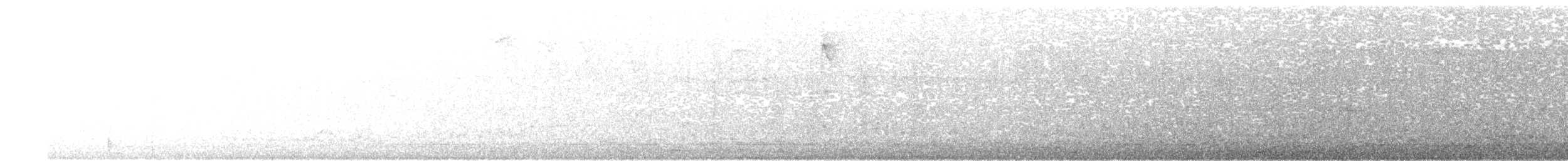 diademmotmot - ML634940767