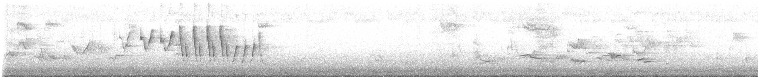 Northern Waterthrush - ML634944944