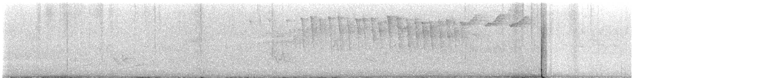 Tennessee Warbler - ML634947974