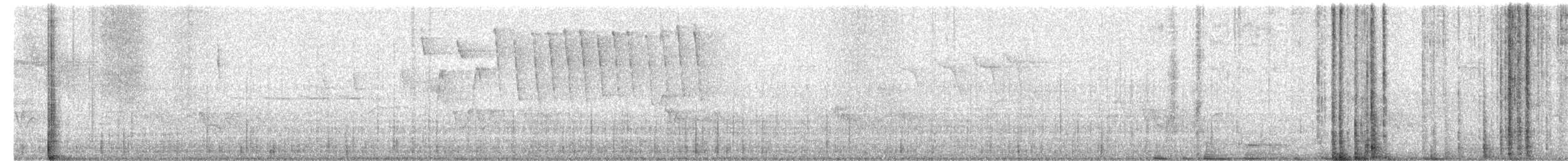 マミジロアメリカムシクイ - ML634953151