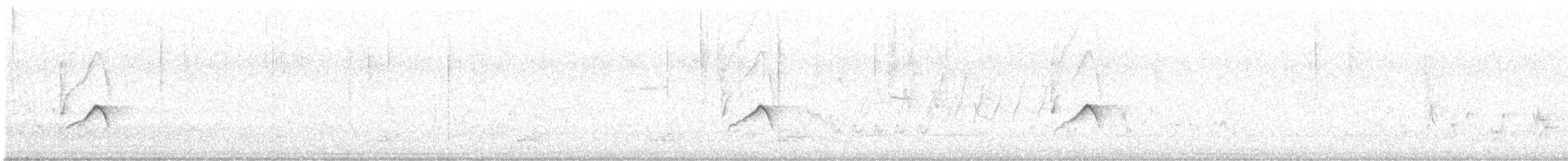 budníček západní - ML634956210