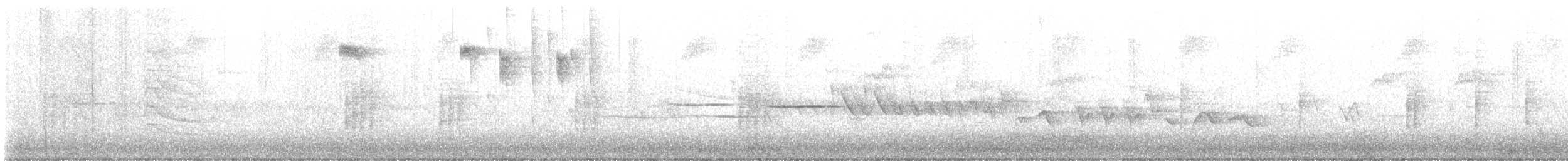 Sphyrapicus sp. - ML634959861