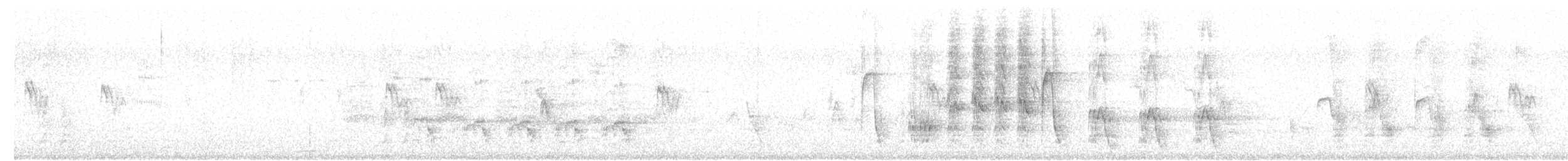 Black Francolin (Eastern) - ML634964285