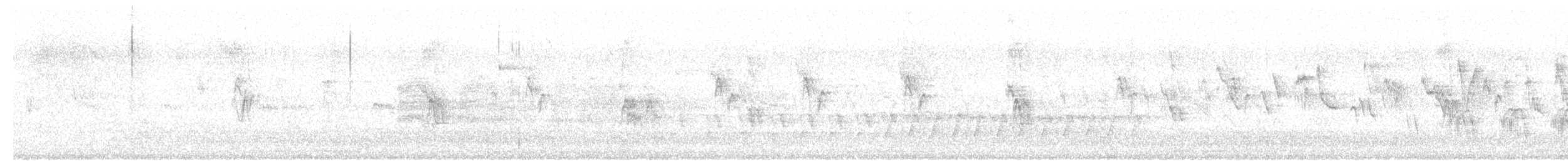 Black Francolin (Eastern) - ML634967177