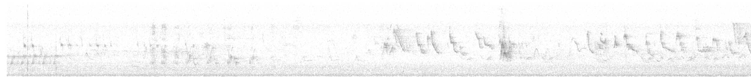 Black Francolin (Eastern) - ML634967769