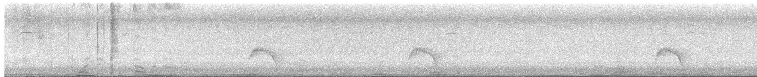 Gray-cheeked Thrush - ML634973034