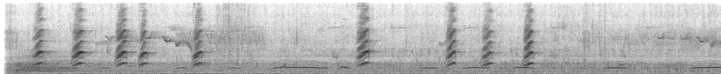 Grammatoptile strié - ML634973627