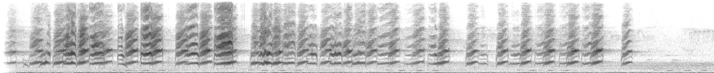 Grammatoptile strié - ML634973629