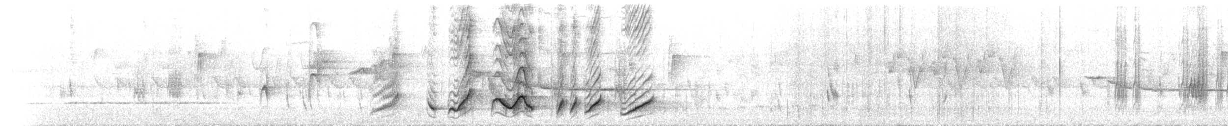 Grammatoptile strié - ML634973644