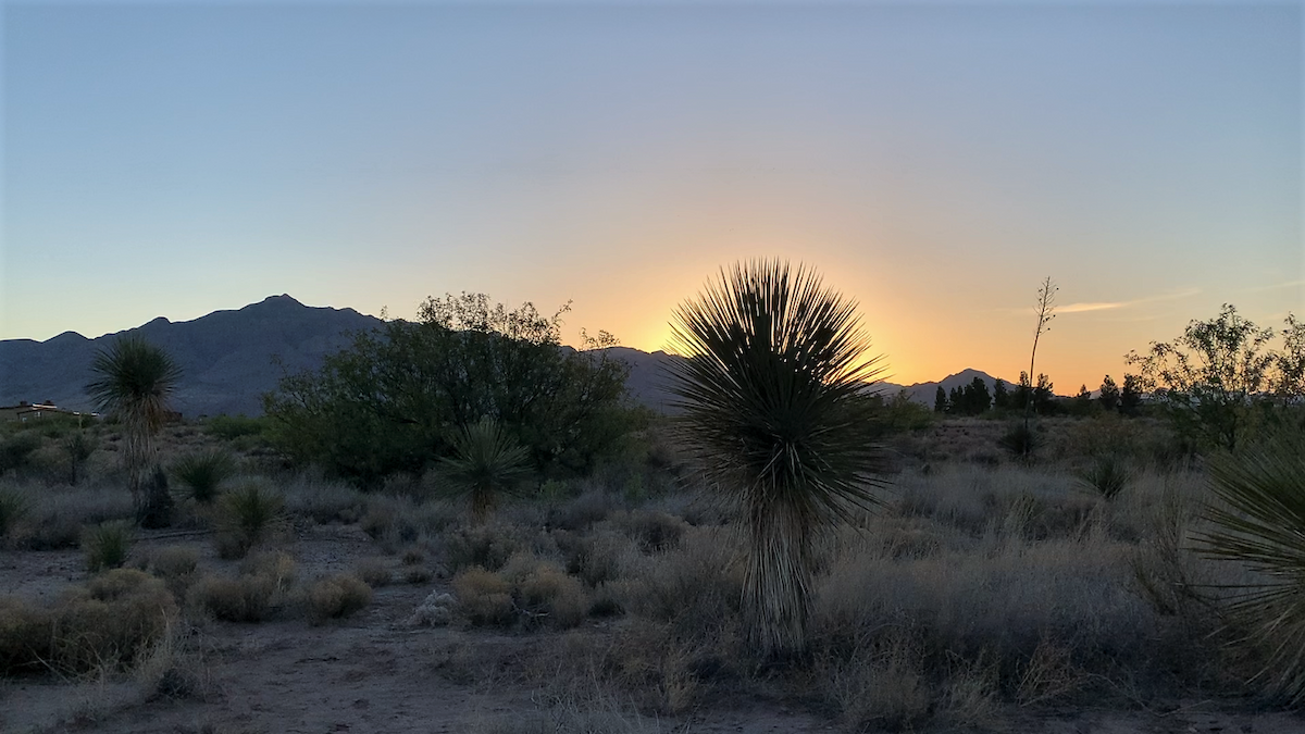 Not specified - Roger Massey