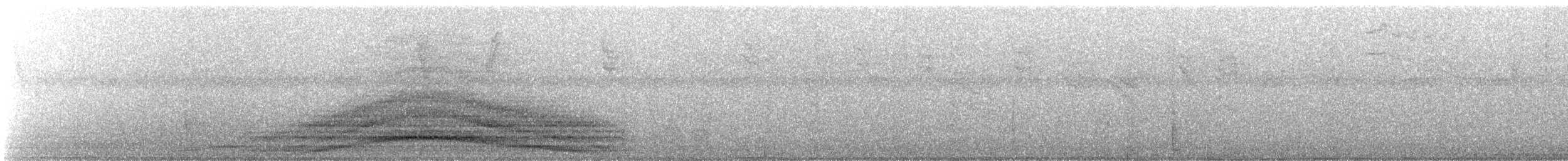 Wattled Guan - ML634977437