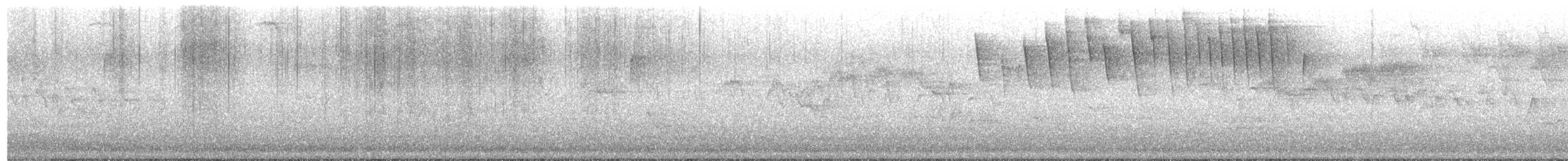 Tennessee Warbler - ML634979086