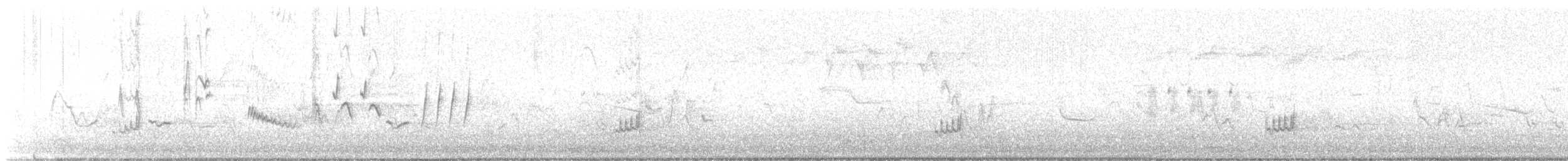 Orchard Oriole - ML634980708