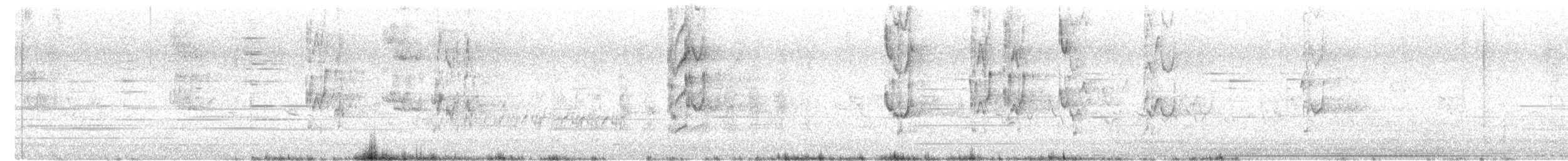 Black Francolin (Eastern) - ML634983673