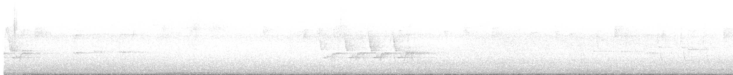 Carolina Wren - ML634986476