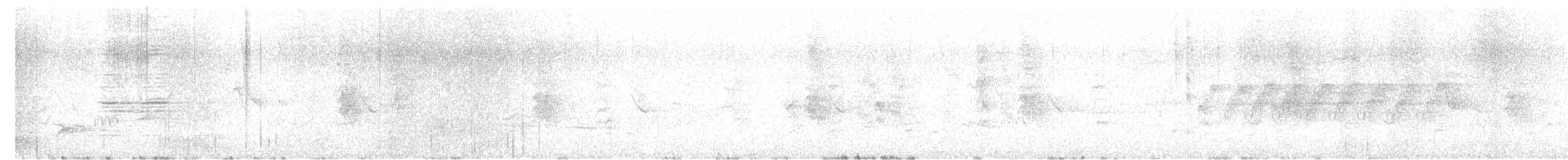 Amakihi familier (virens) - ML634986989