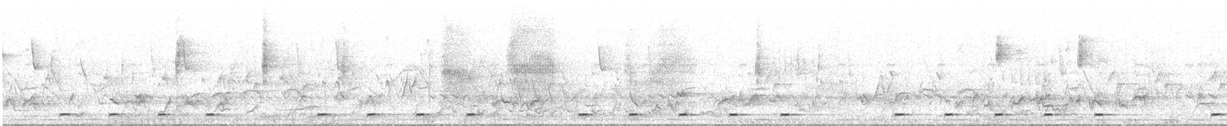 Yellow-rumped Tinkerbird - ML634990851