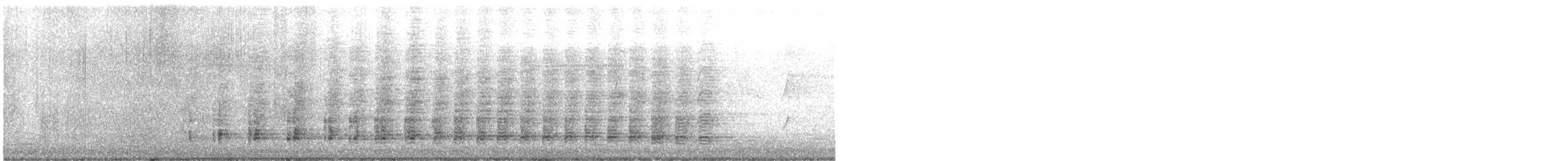 Anhinga d'Australie - ML634993996