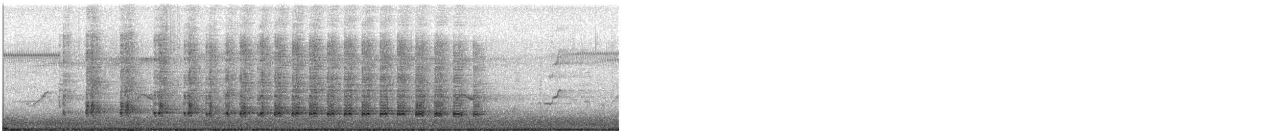 Anhinga d'Australie - ML634994757
