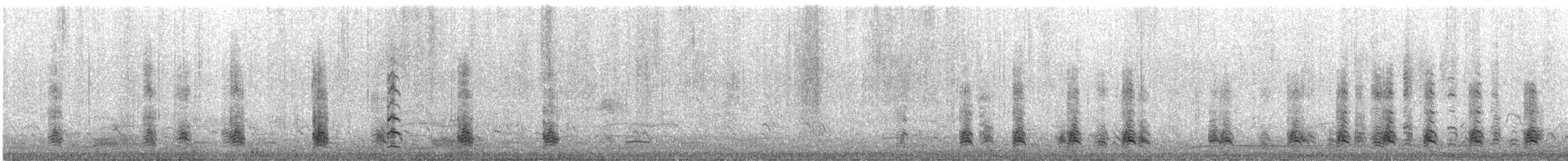 Barnacle Goose - ML634997479