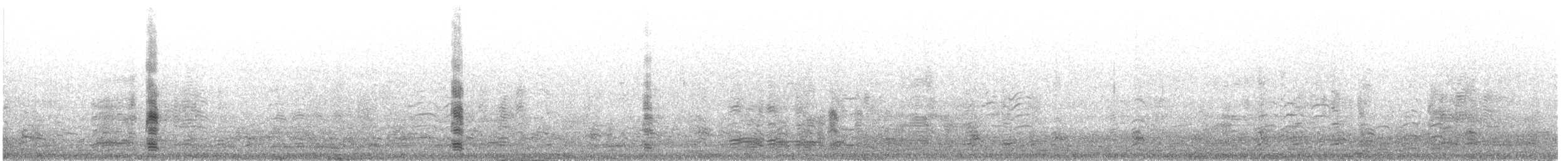 Barnacle Goose - ML634998105