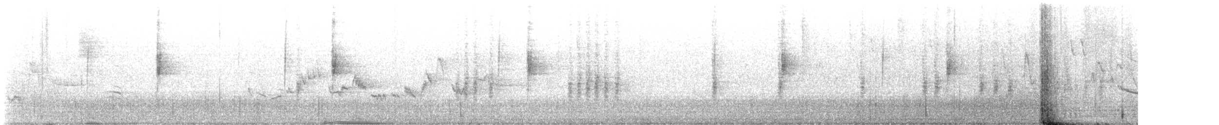 Northern Waterthrush - ML634998866