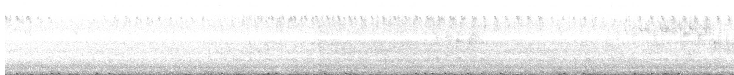 Tasmanian Nativehen - ML634999677