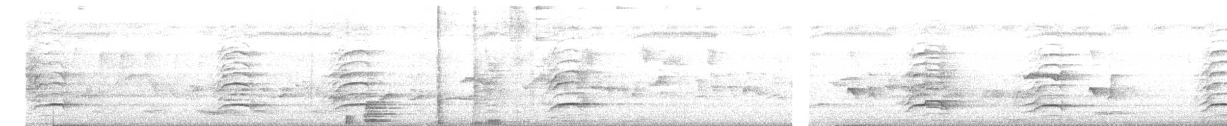 malabarhornfugl - ML635002476