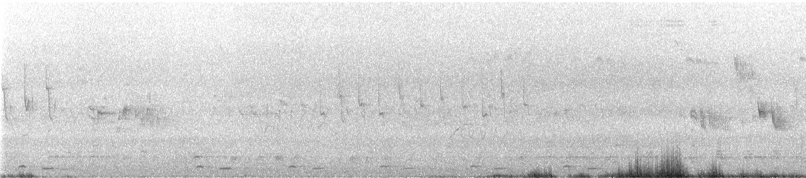Kuku eurasiarra - ML635004975