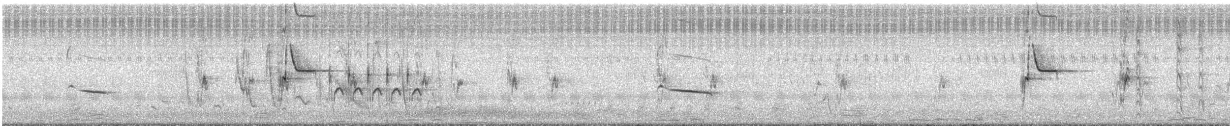 Cape Wagtail - ML635005868