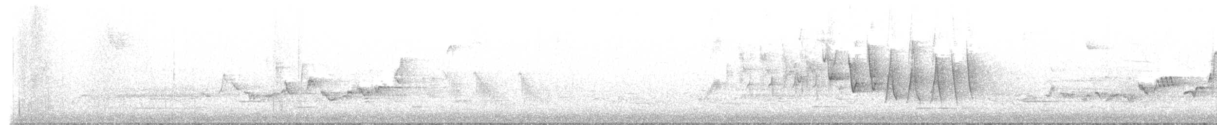 Northern Waterthrush - ML635007830