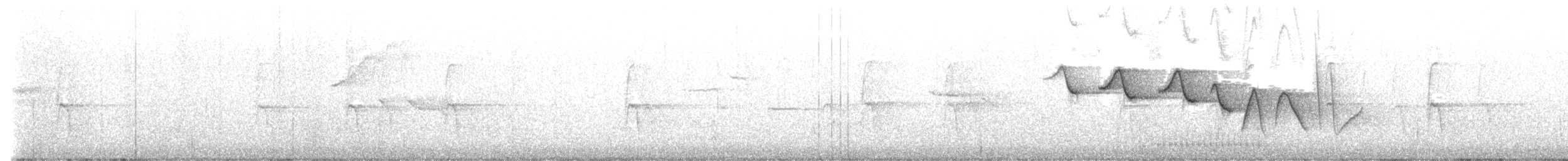 Louisiana Waterthrush - ML635007838