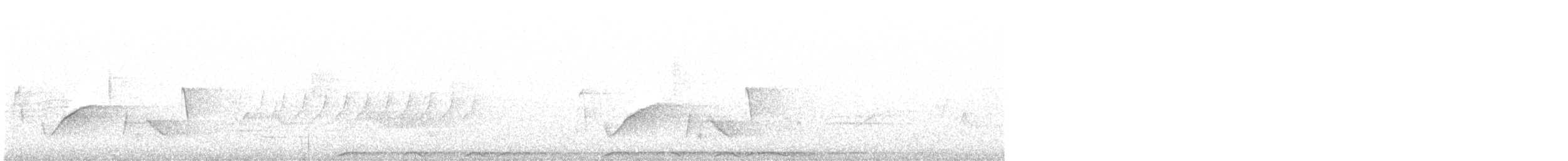 Barred Owl - ML635007876