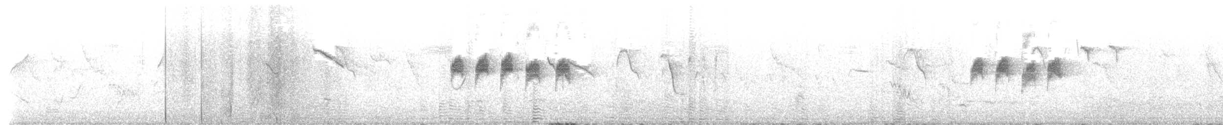 Slaty-backed Thornbill - ML635010867