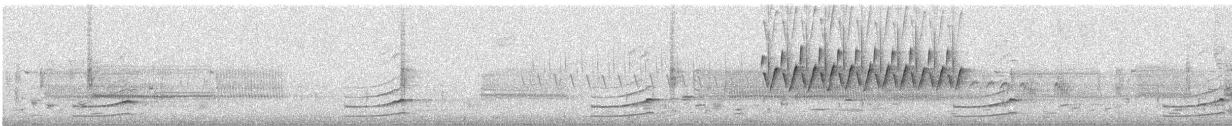 Sora uroilanda - ML635011016