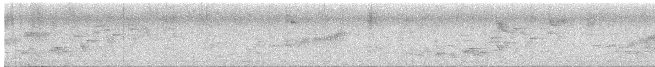 Swainson's Thrush - ML635011158