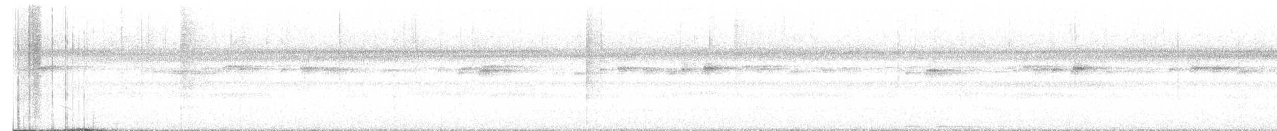 Chouette leptogramme - ML635011730