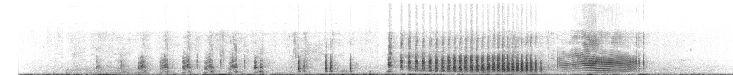 Northern/Southern Royal Albatross - ML63501261