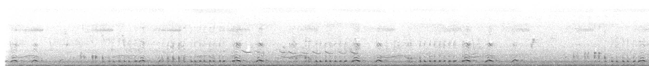 White-breasted Waterhen - ML635014704