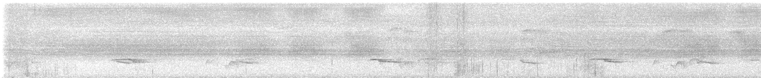 Silver-breasted Broadbill - ML635015166