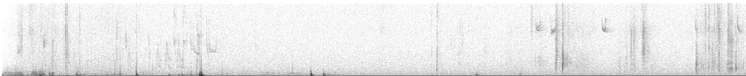 Rivoli's Hummingbird - ML635015875