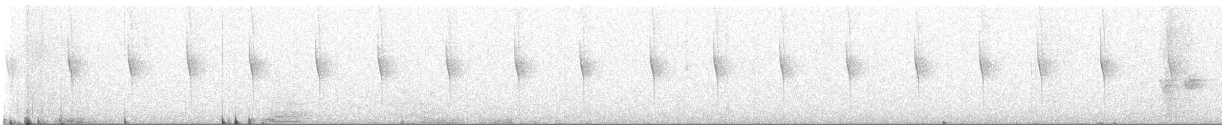 Rivoli's Hummingbird - ML635016087