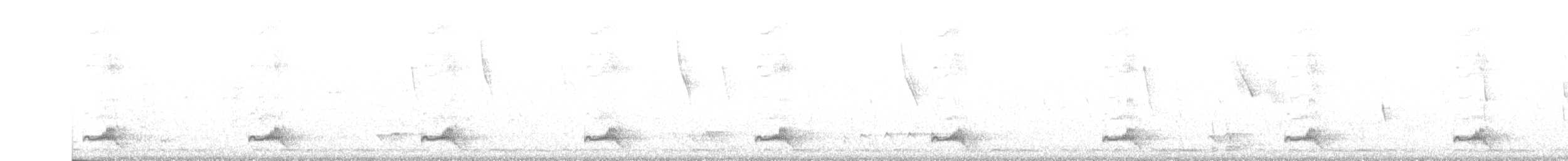 kukačka černobílá - ML635017962