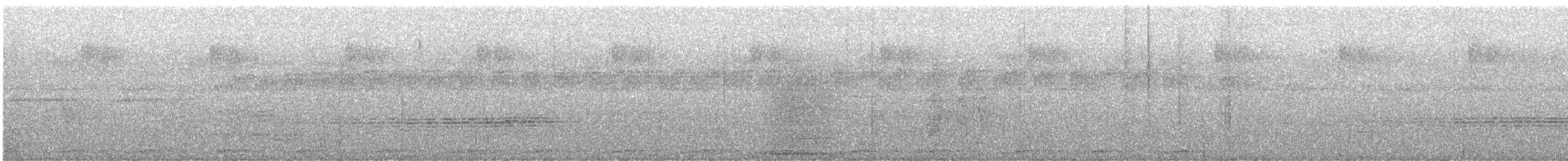 Dwarf Cassowary - ML635020498