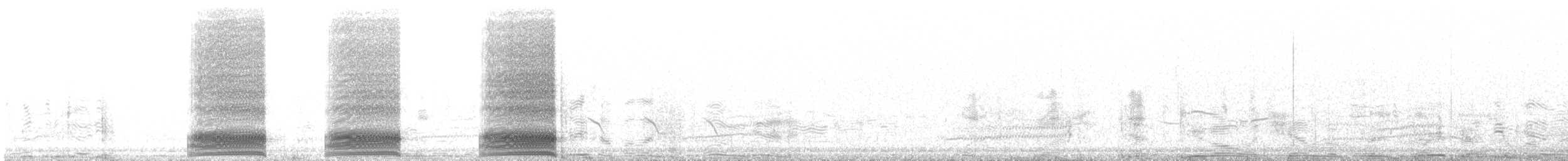 Cuervo Etíope - ML635020523