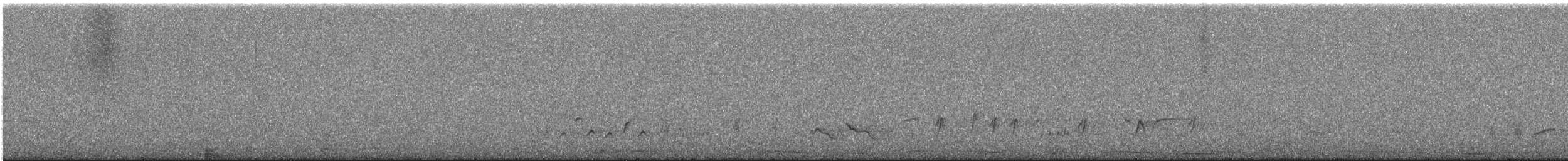 hrdlička bělavokřídlá - ML635025530