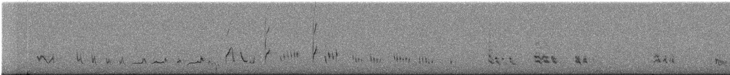 drozdec mnohohlasý - ML635025709